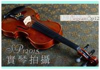 【嘟嘟牛奶糖】愛琴海 SP12手刷虎紋小提琴 精緻嚴選 法式規格 手刷質感更升級 SP15