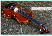 【嘟嘟牛奶糖】愛琴海 SP12手刷虎紋小提琴 精緻嚴選 法式規格 手刷質感更升級 SP04
