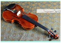 【嘟嘟牛奶糖】愛琴海 SP12手刷虎紋小提琴 精緻嚴選 法式規格 手刷質感更升級 SP09